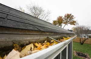 gutters are full and need to be cleaned